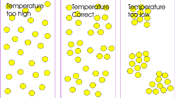 Chick behavior at different whole house temperatures