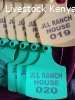 Customized Cow Eartags