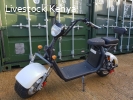 For Sale Electric scooter citycoco 3000W motor with 20ah bat