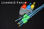 Pig Catheter