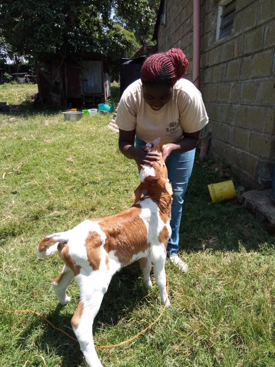 farmer admiring her calf