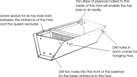 Hive body