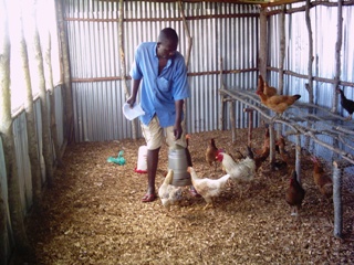 Improved local poultry house